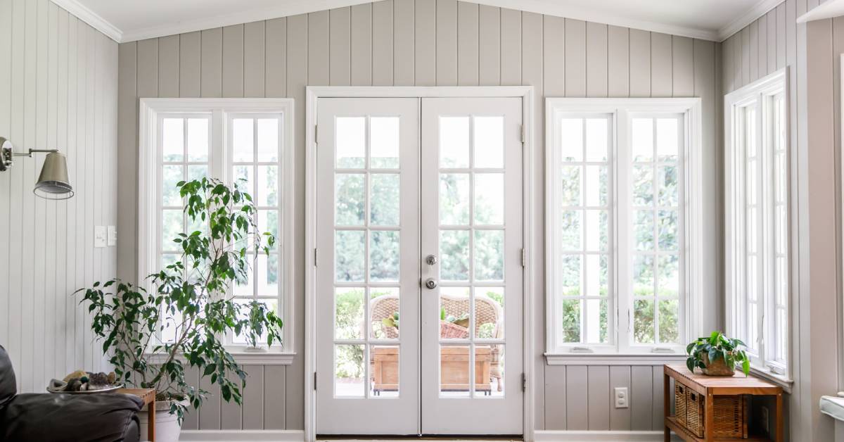 A room with a couch, plant, and lots of natural light coming from the doors and windows on the wall.