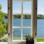 An open window facing a lake on a sunny day. A succulent sits on the windowsill in the foreground of the image.