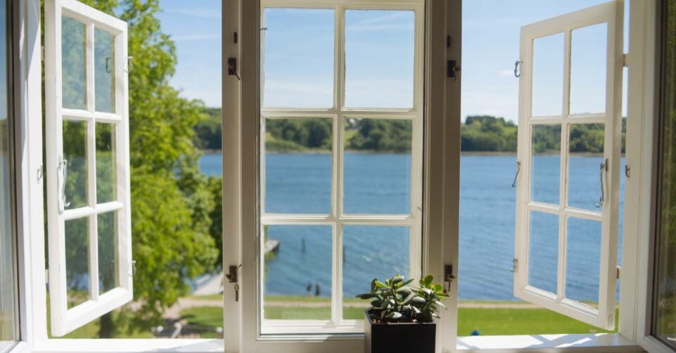 An open window facing a lake on a sunny day. A succulent sits on the windowsill in the foreground of the image.