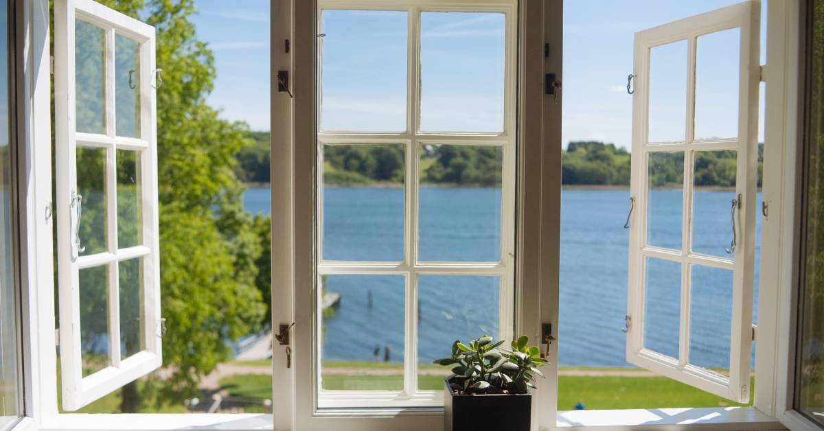 An open window facing a lake on a sunny day. A succulent sits on the windowsill in the foreground of the image.